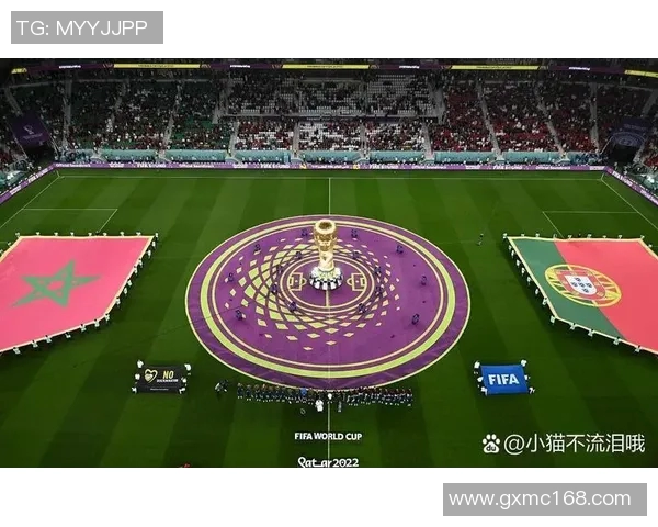 足球世界杯赛事文化与球迷热情反应的多维探讨与影响分析